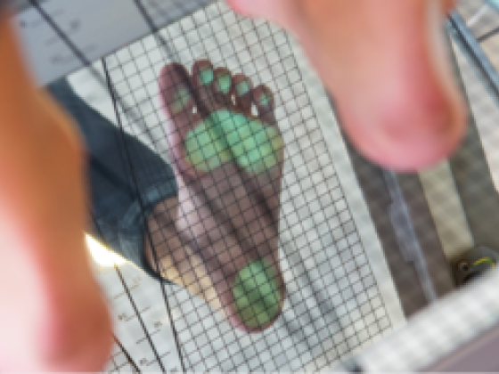 Feetness Feet Care