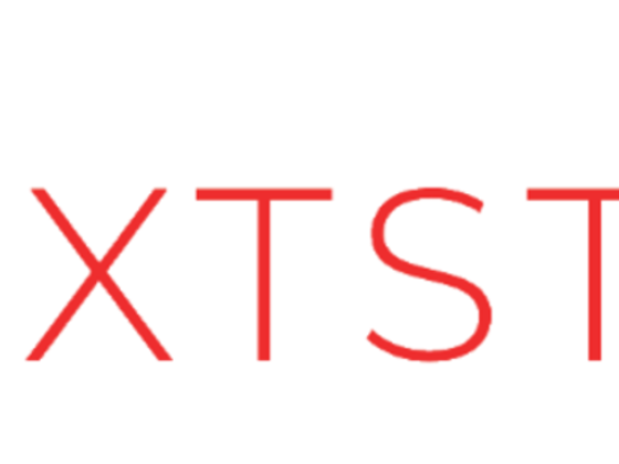 Next Step Project Management Services