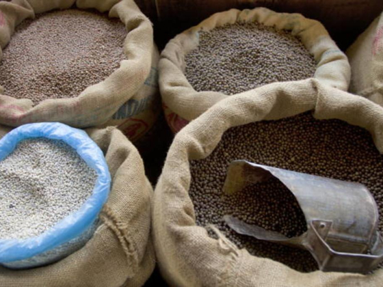 Black Soil Trading