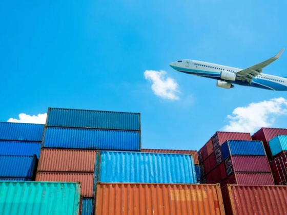 Gulf First Shipping & Logistics
