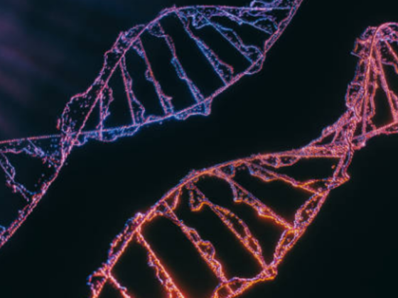 Dna Gtx Lab