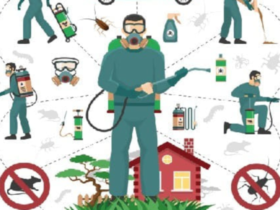Dominator Pest Control