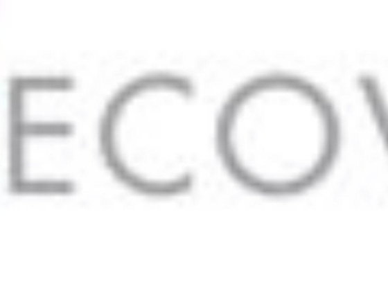 Ecovis Fuller Management Consultancy