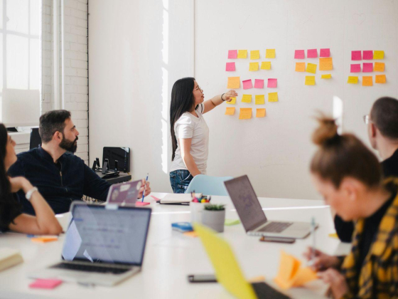 Nexova Direct Consultancy