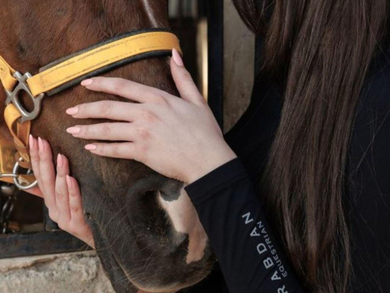 Rabdan Equestrian Fashion And Equipments
