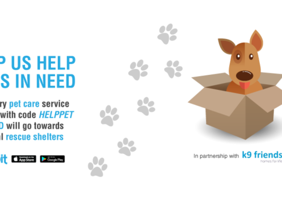 Helpbit
