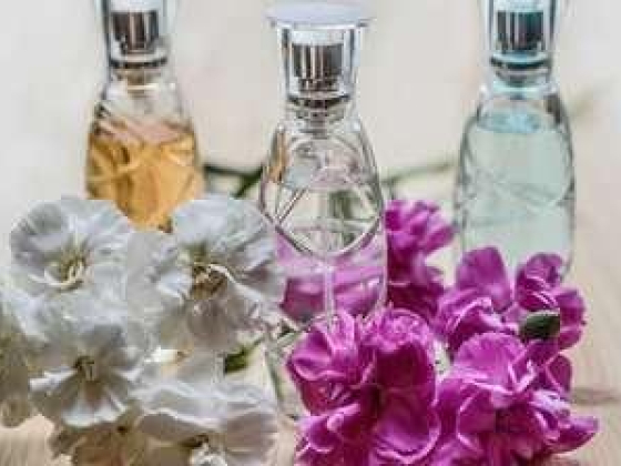 Angel White Gifts Trading