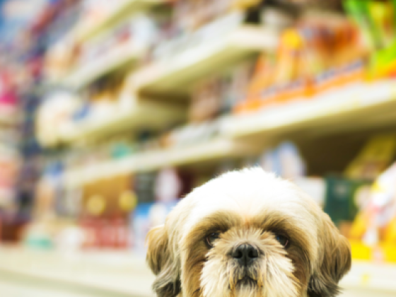 Petzone