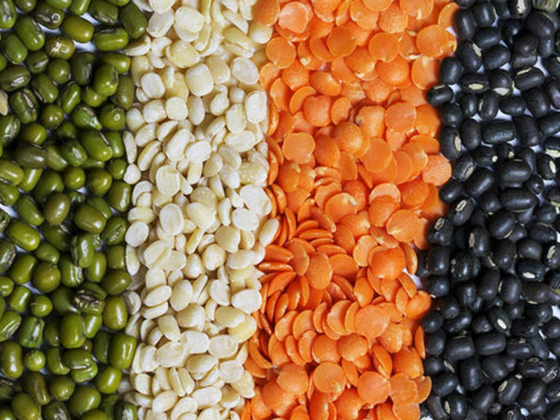 Punjab Foodstuff Trading