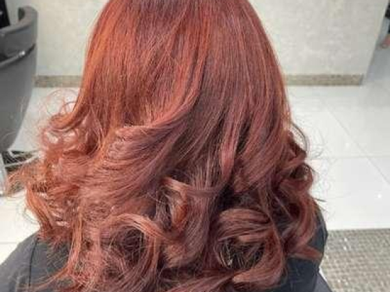 Free Women Salon
