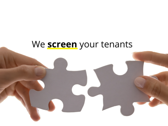 BSO Real Estate Management