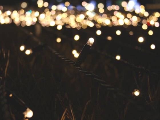 Premium Lights