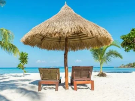 Bright Wings Travel & Tourism