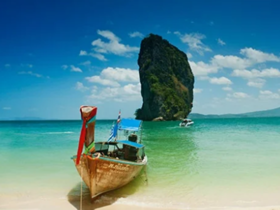 Bright Wings Travel & Tourism