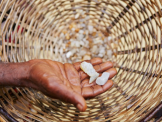 African Commodity Sourcing
