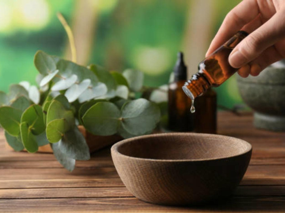 Kely Ayurveda General Trading