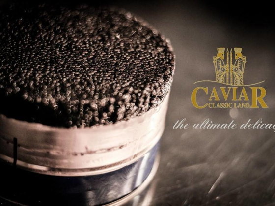 Caviar Classic Land Sea Food Canning