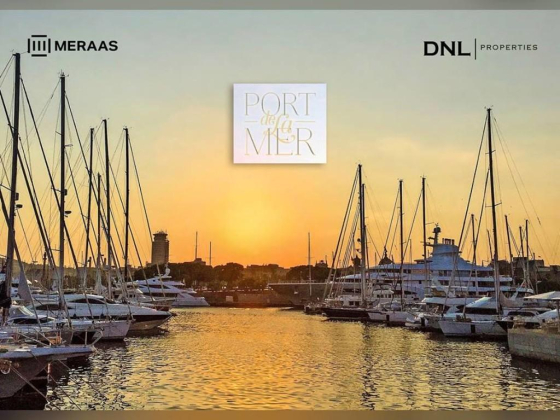 Dnl Properties