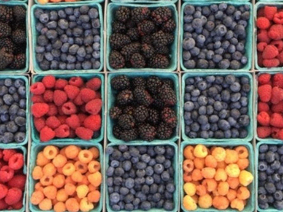 Abdul Basit Abdul Majeed Fruits & Vegetables Trading