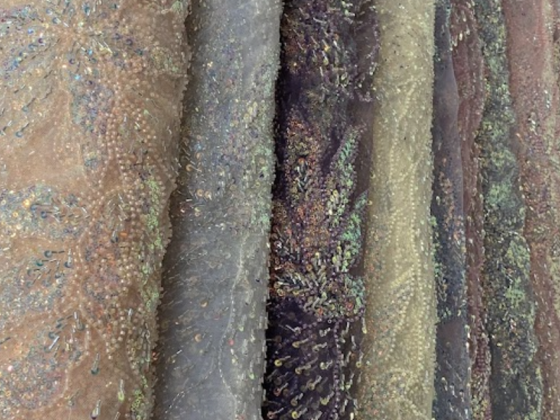 Kabul Star Textile