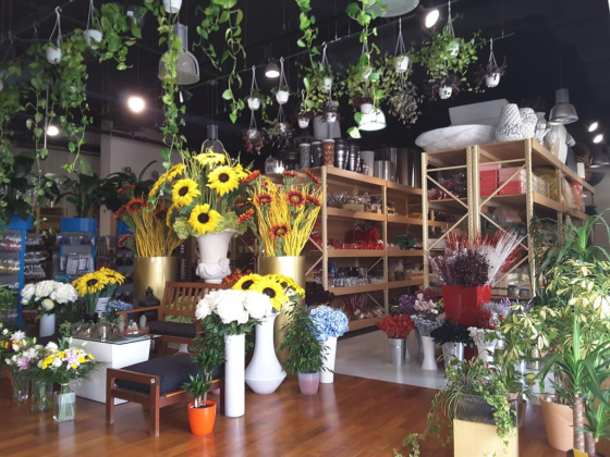 The Garden Centre