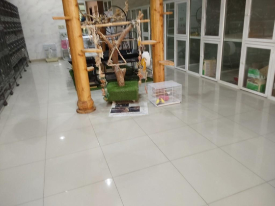 Rawaea Al Toyoor Birds & Pets Requisites Trading