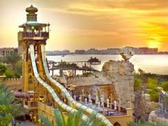 Wild Wadi Water Park