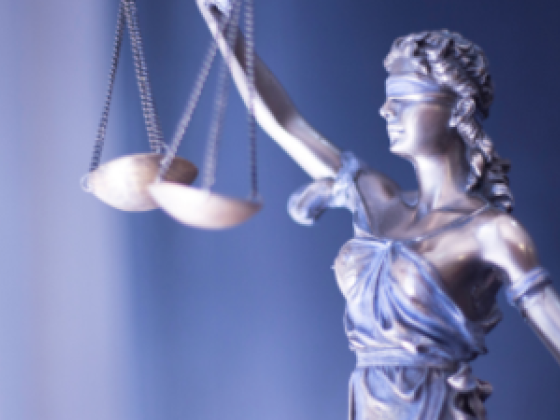 Fatema Hasan Alshehhi Advocates & Legal Consultants