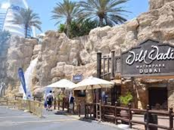 Wild Wadi Water Park