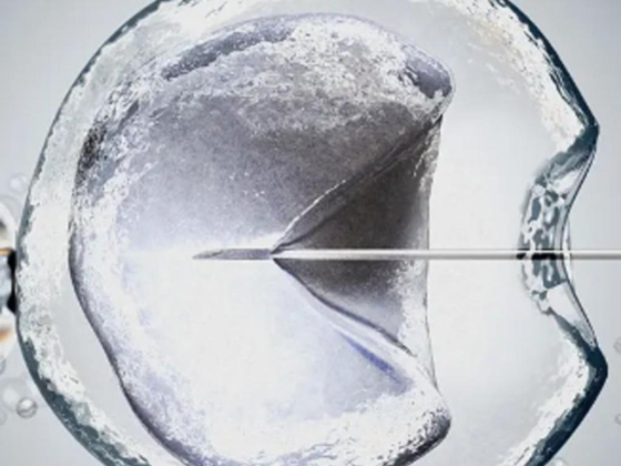 Art Fertility Clinics