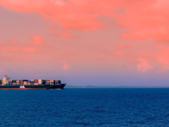 Global Feeder Shipping