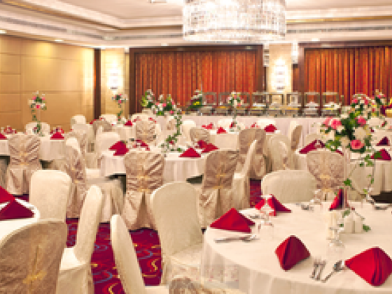 Shamiana  ​function Hall