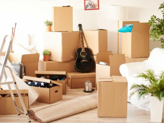 Network Movers Cargo Loading & Unloading