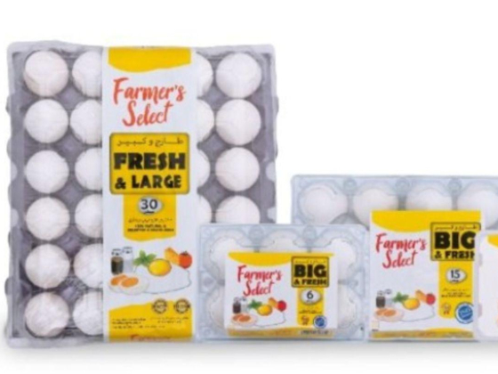 Iqon Food Industries
