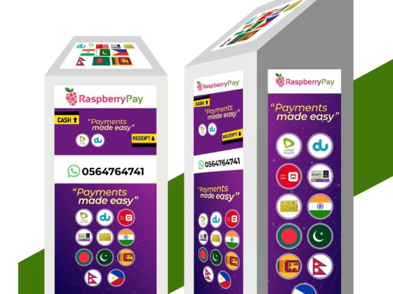 Raspberry Pay