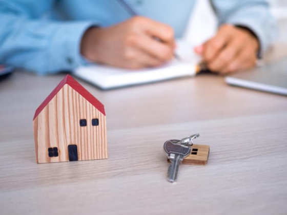 Maz Properties