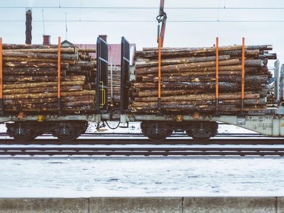 Varieties For Freight & Cargo Services