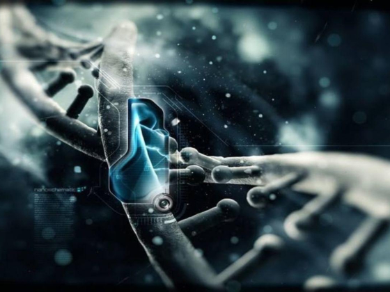 Molecular Biology & Genomics Centre