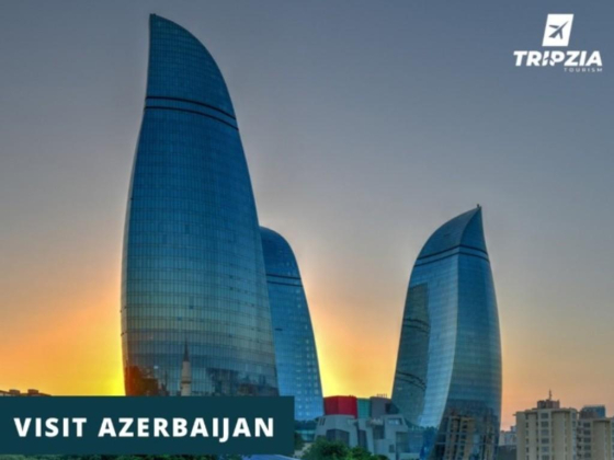 Tripzia Tourism