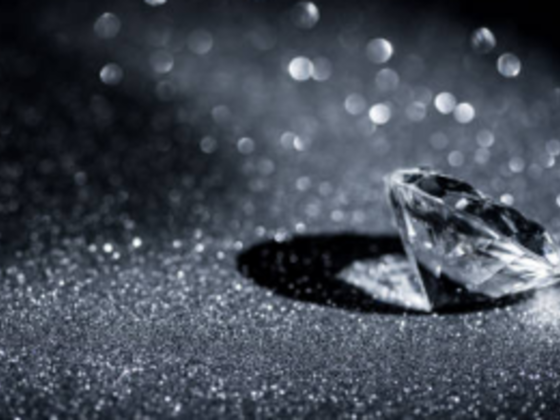 Rajesh Rawal Diamond Trading