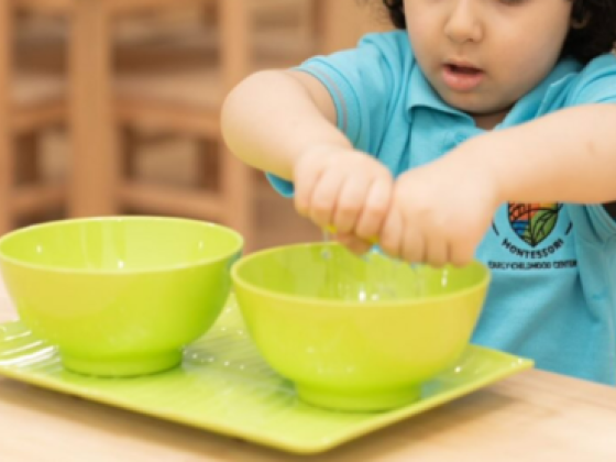 Together We Montessori