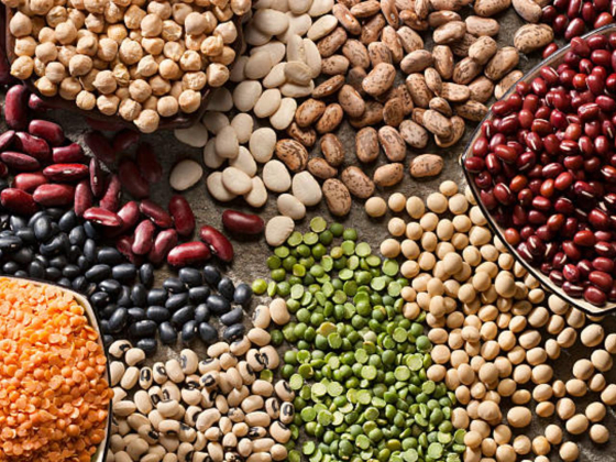 Greeny Foodstuff Trading