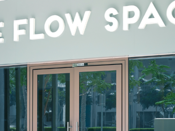 The Flow Space