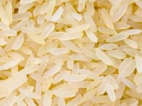Sirra Food Products