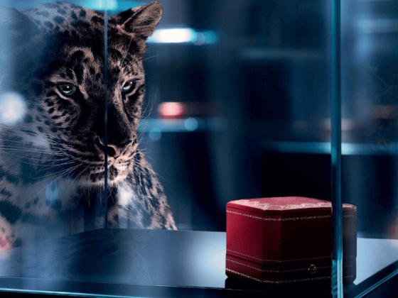 Cartier - The Dubai Mall