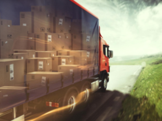Cti Shipping Services