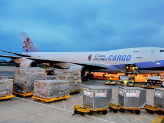 You Win Sea Cargo Service