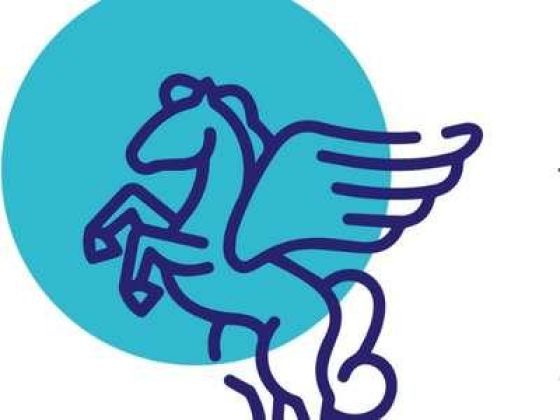 Pegasus Home Healthcare