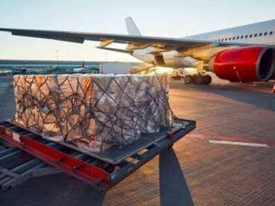 Zays Shipping Services