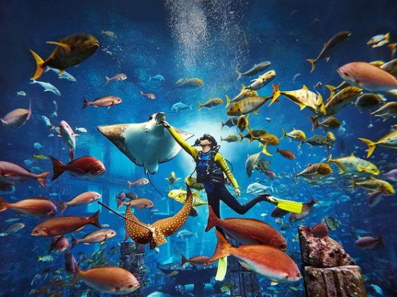 Atlantis The Palm Hotel & Resort